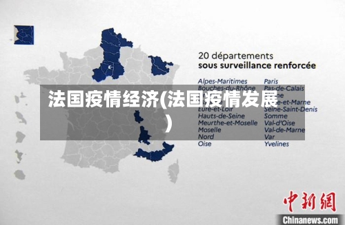 法国疫情经济(法国疫情发展)