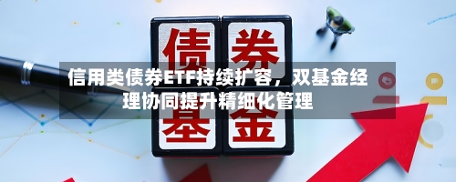 信用类债券ETF持续扩容，双基金经理协同提升精细化管理-第2张图片