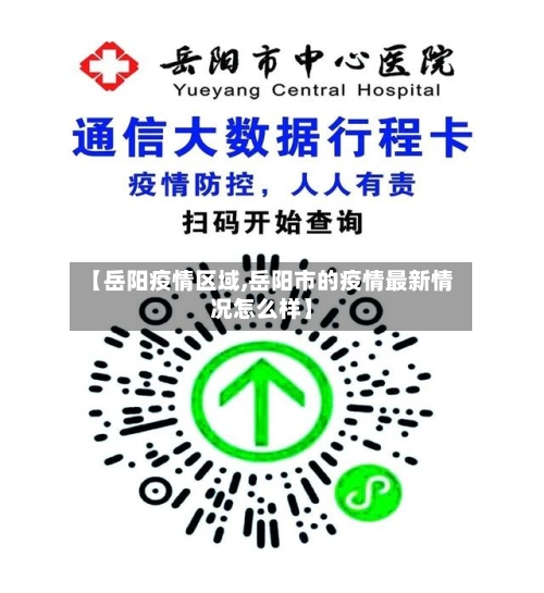 【岳阳疫情区域,岳阳市的疫情最新情况怎么样】-第2张图片
