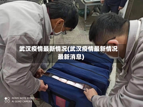 武汉疫情最新情况(武汉疫情最新情况 最新消息)-第2张图片