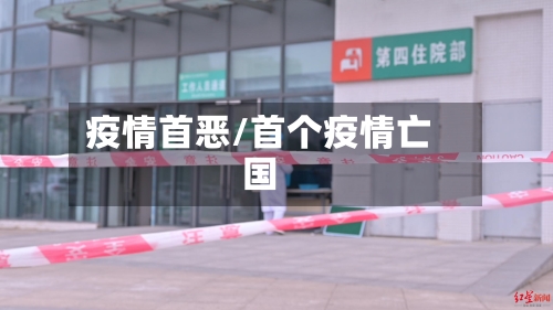 疫情首恶/首个疫情亡国