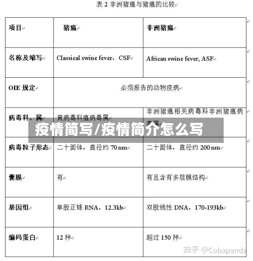 疫情简写/疫情简介怎么写