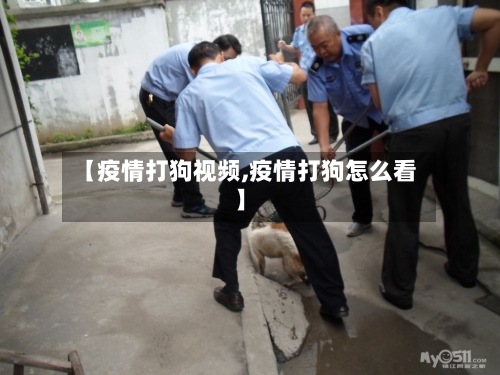 【疫情打狗视频,疫情打狗怎么看】-第2张图片