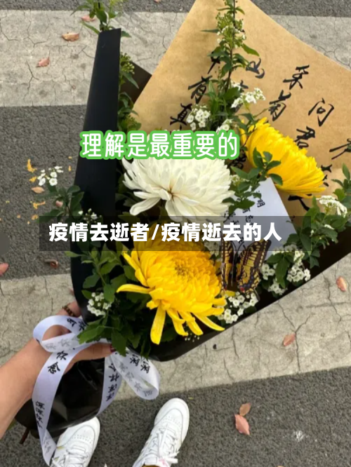 疫情去逝者/疫情逝去的人-第2张图片