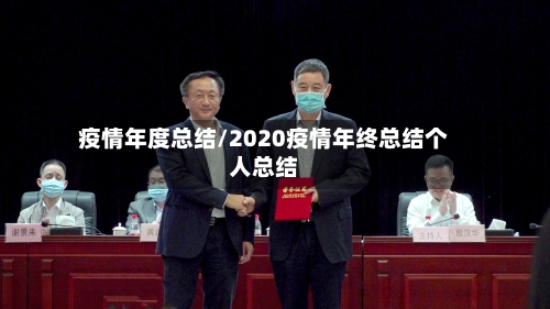 疫情年度总结/2020疫情年终总结个人总结-第2张图片