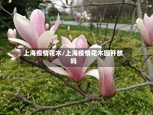 上海疫情花木/上海疫情花木园开放吗