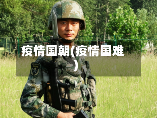 疫情国朝(疫情国难)