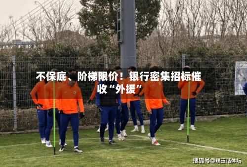 不保底、阶梯限价！银行密集招标催收“外援”-第2张图片