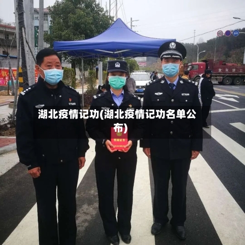 湖北疫情记功(湖北疫情记功名单公布)-第3张图片