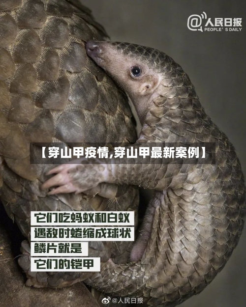 【穿山甲疫情,穿山甲最新案例】-第3张图片