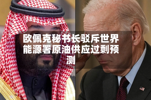 欧佩克秘书长驳斥世界
能源署原油供应过剩预测