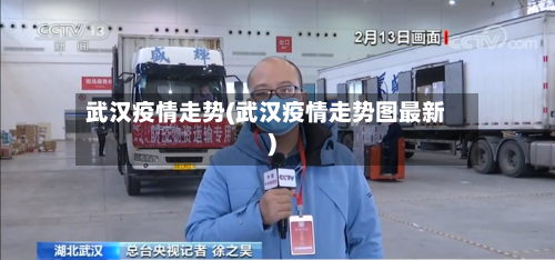 武汉疫情走势(武汉疫情走势图最新)
