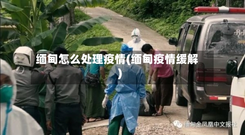 缅甸怎么处理疫情(缅甸疫情缓解)-第2张图片