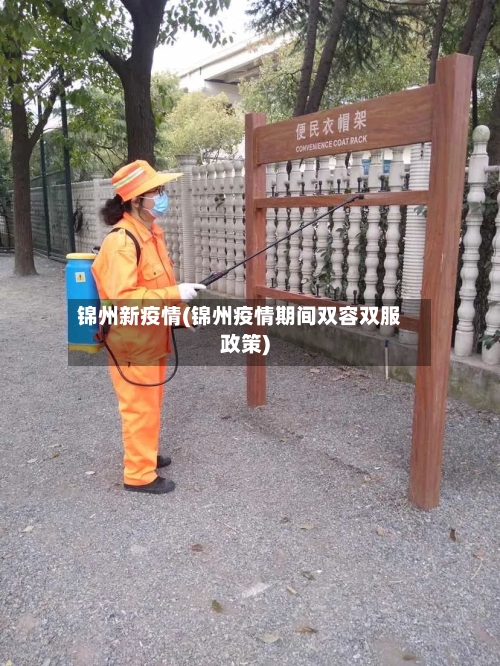 锦州新疫情(锦州疫情期间双容双服政策)-第2张图片