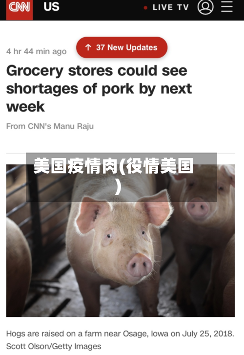 美国疫情肉(役情美国)