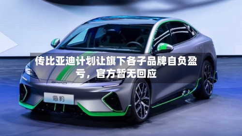 传比亚迪计划让旗下各子品牌自负盈亏，官方暂无回应-第2张图片