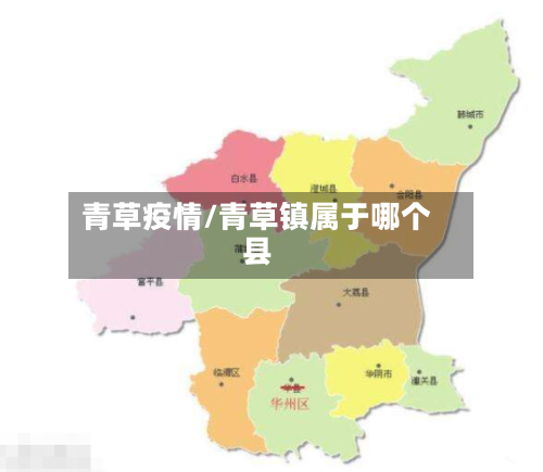 青草疫情/青草镇属于哪个县-第2张图片