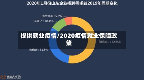 提供就业疫情/2020疫情就业保障政策