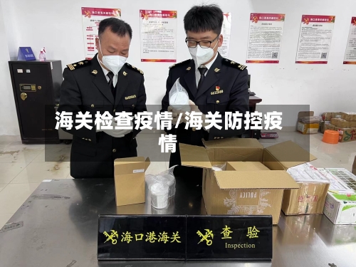 海关检查疫情/海关防控疫情-第2张图片