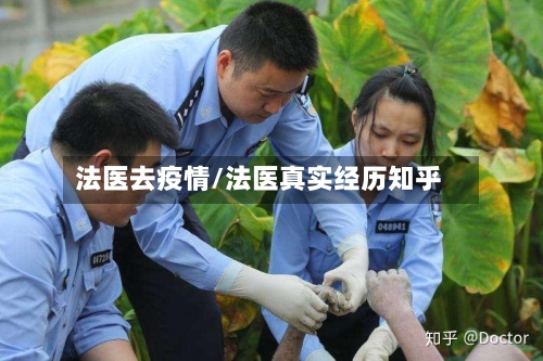 法医去疫情/法医真实经历知乎