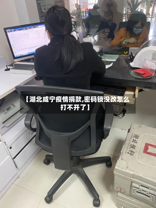 【湖北咸宁疫情捐款,密码锁没改怎么打不开了】-第3张图片