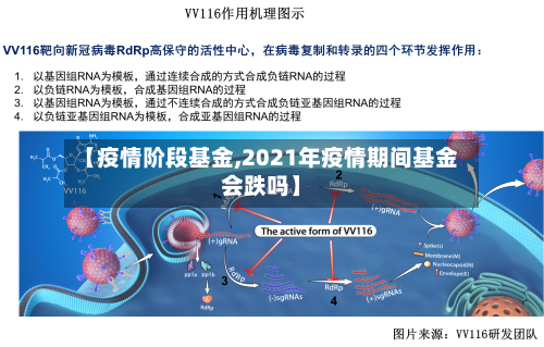 【疫情阶段基金,2021年疫情期间基金会跌吗】-第3张图片