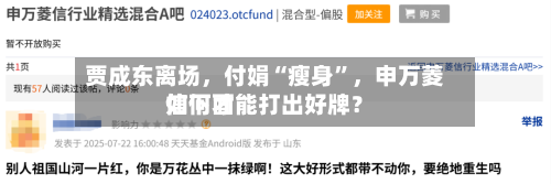 贾成东离场，付娟“瘦身	”	，申万菱信下面如何才能打出好牌？-第2张图片