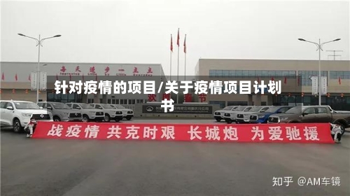 针对疫情的项目/关于疫情项目计划书-第3张图片