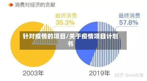 针对疫情的项目/关于疫情项目计划书