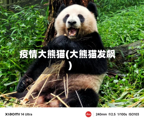 疫情大熊猫(大熊猫发飙)-第2张图片