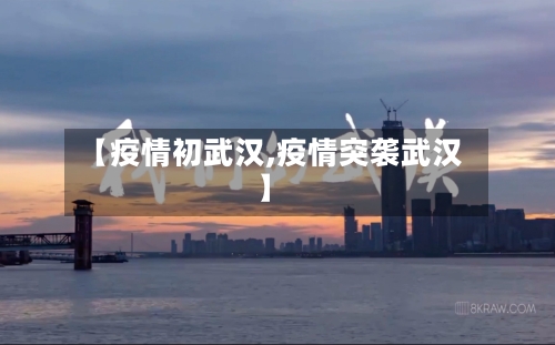 【疫情初武汉,疫情突袭武汉】-第2张图片