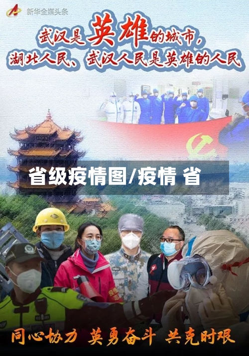 省级疫情图/疫情 省-第3张图片