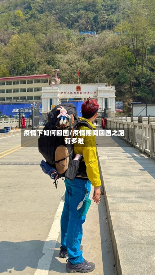 疫情下如何回国/疫情期间回国之路有多难-第3张图片
