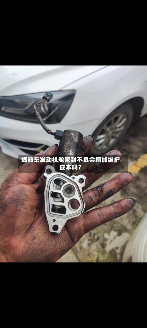 燃油车发动机舱密封不良会增加维护成本吗？-第2张图片