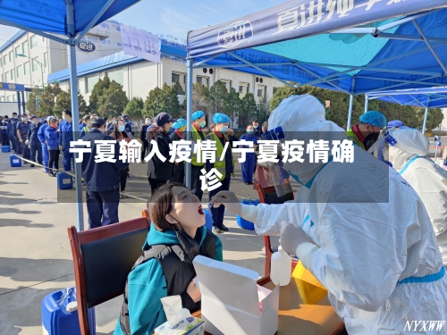宁夏输入疫情/宁夏疫情确诊-第3张图片