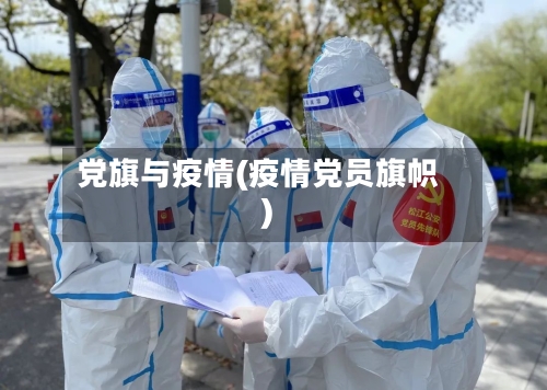 党旗与疫情(疫情党员旗帜)-第2张图片