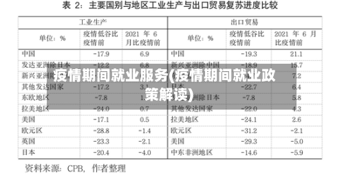 疫情期间就业服务(疫情期间就业政策解读)