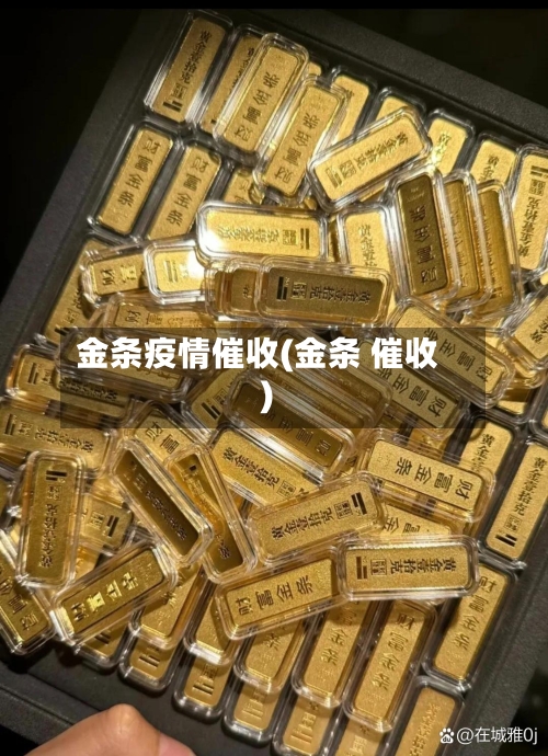金条疫情催收(金条 催收)