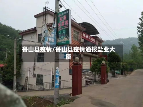 鲁山县疫情/鲁山县疫情通报盐业大厦