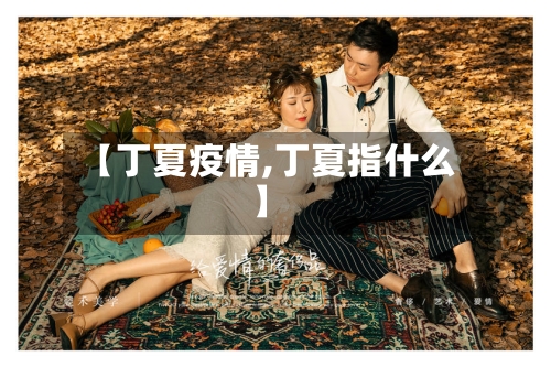 【丁夏疫情,丁夏指什么】