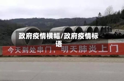 政府疫情横幅/政府疫情标语-第2张图片