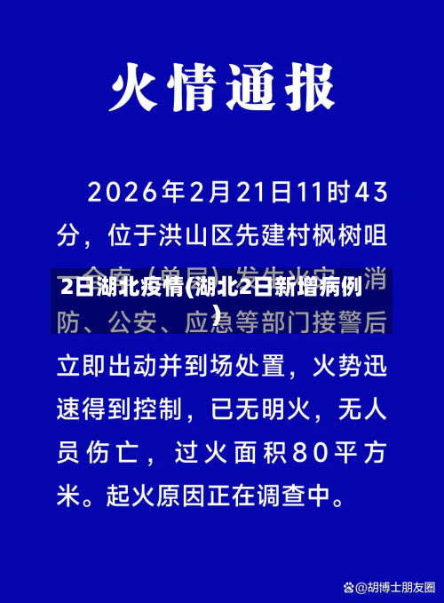 2日湖北疫情(湖北2日新增病例)-第2张图片