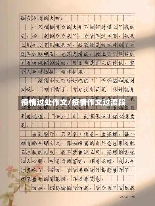 疫情过处作文/疫情作文过渡段