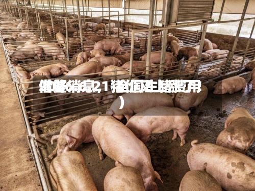 2026.6.21-全国生猪费用借鉴（好消息，猪价又上涨了！）-第2张图片
