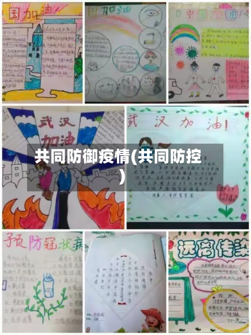 共同防御疫情(共同防控)-第2张图片
