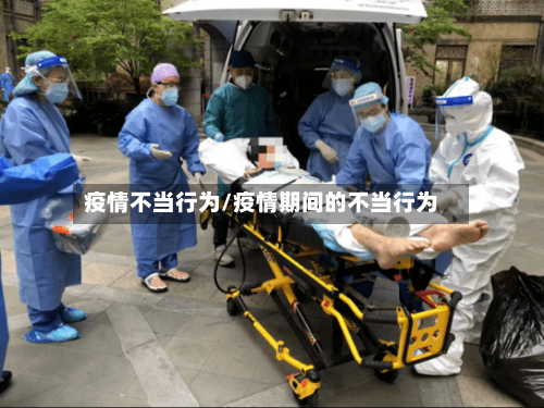 疫情不当行为/疫情期间的不当行为