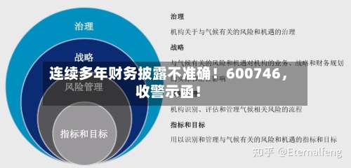 连续多年财务披露不准确!600746,收警示函!