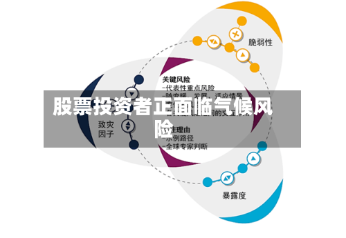 股票投资者正面临气候风险-第2张图片
