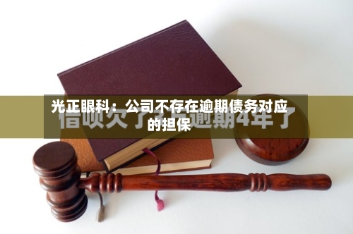 光正眼科:公司不存在逾期债务对应的担保-第2张图片