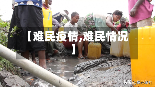 【难民疫情,难民情况】